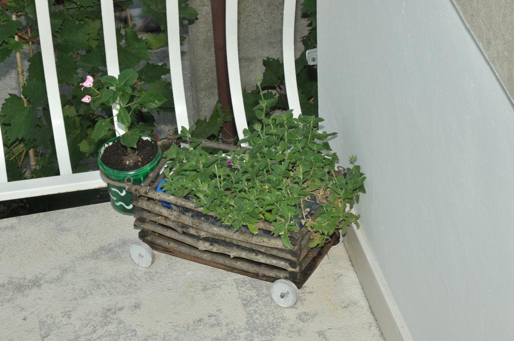 Apartments La Dolce Vita Herceg Novi Eksteriør billede